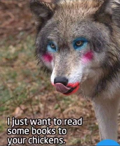 FB_IMG_1655717667112