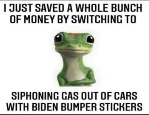 FB_IMG_1654703752493