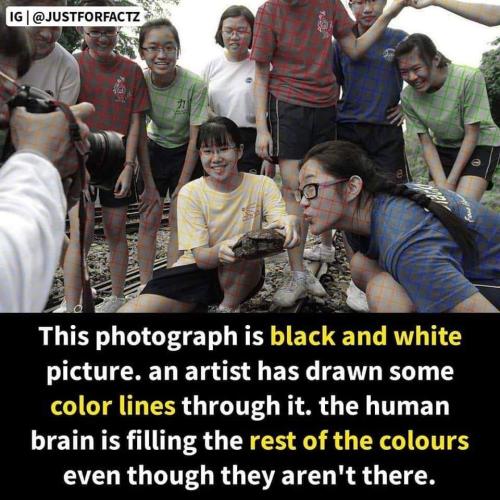 FB_IMG_1656606648391