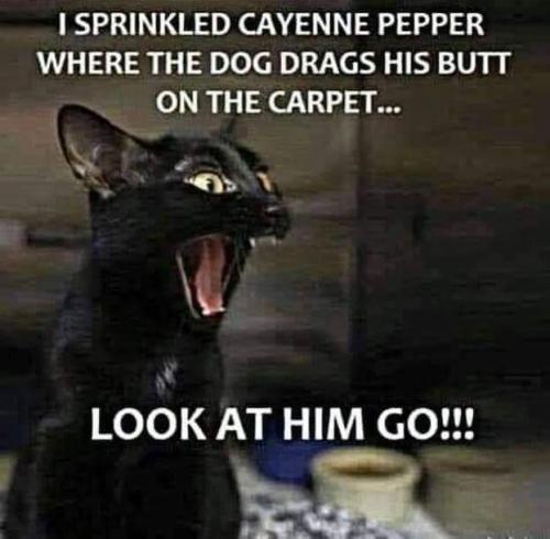 FB_IMG_1654966817358