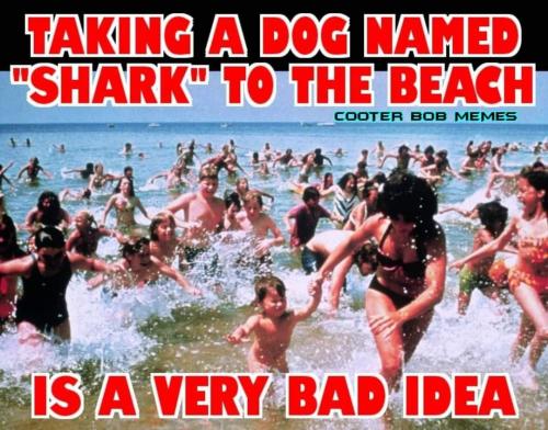 FB_IMG_1654797355321