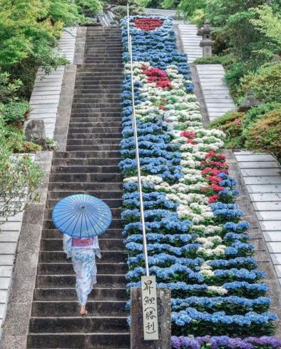 286544721_565606991601974_4902975732545936466_n