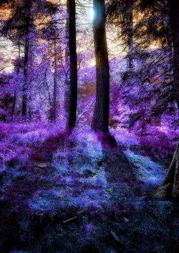 ,                                                                                                                                                                                                                          0 0