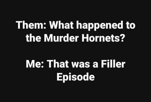 FB_IMG_1655001616887