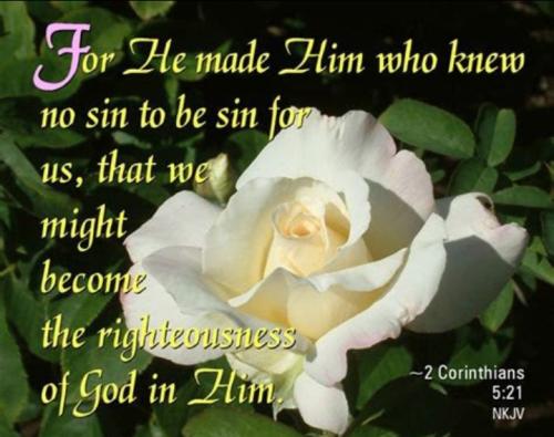 Screenshot_20220617-034658_Photos