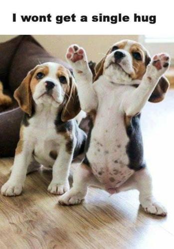 289110658_4023116371147018_6512911632378862816_n