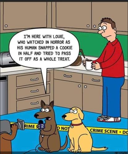 39b42ca2-a7ed-437d-b1a9-1a0c308addb9