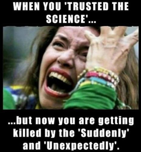 img - 2022-06-07T160146.827