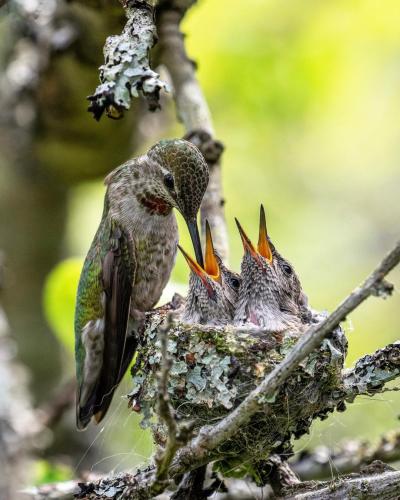 281777168_5111608295584751_3333318765446726418_n