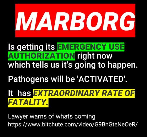 Screenshot_2022-06-05-07-55-29-482_cn.wps.moffice_eng~2