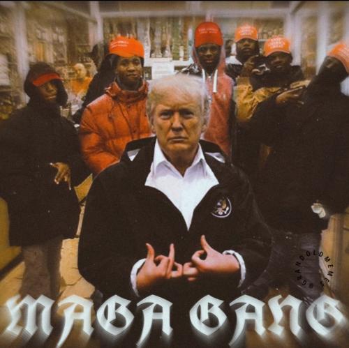 Screenshot_20220611-032215_Instagram