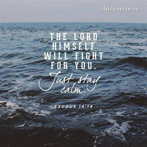 08:19:23 GMT-0400 (EDT)