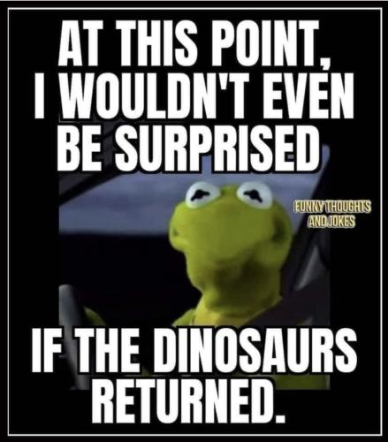 IMG_20220611_131957_706