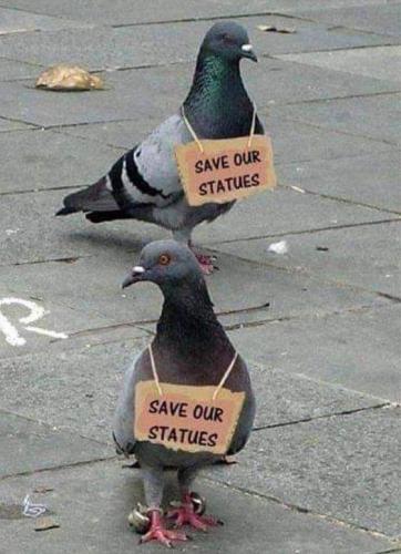 290735736_5639692099383457_7425459685134994519_n