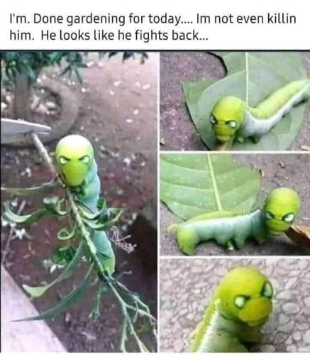 FB_IMG_1654870759189