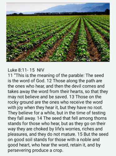 Screenshot_20220610-085257-113