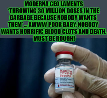 moderna01