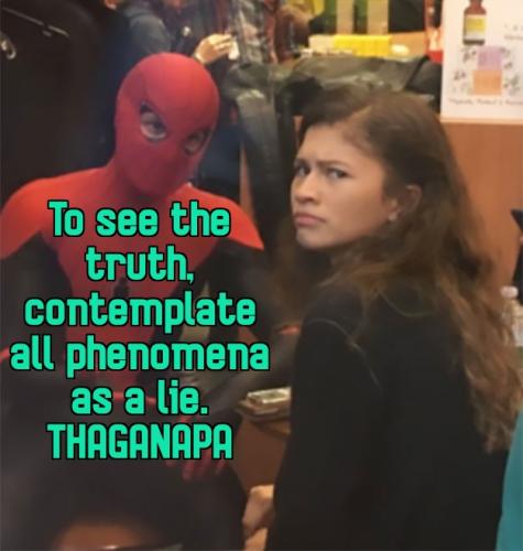 Spider-Man Explaining to Zendaya truth