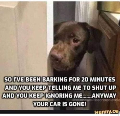 FB_IMG_1654699147957