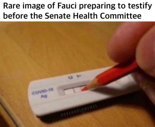 Screenshot_20220616-140923_Instagram