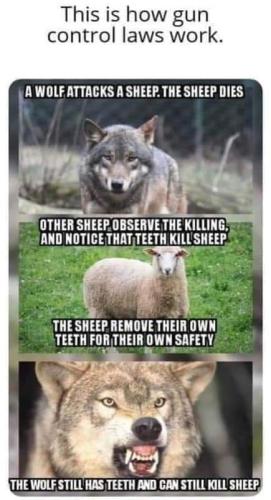 FB_IMG_1653861223802