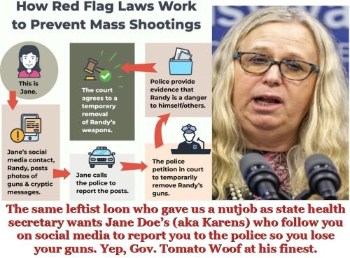 Red Flag laws 1