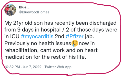 snapshot_twitter.com_1654720623423