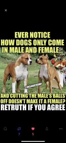 DD674458-AF25-400F-A5A5-EA57EF6C7EFF-48579-000009001CADC918