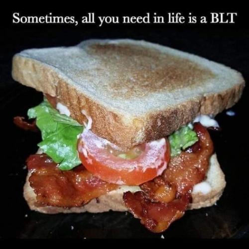 287503556_698172468145559_273435402439321058_n