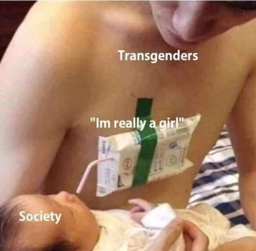 trans soc