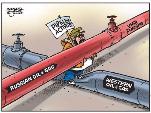 FB_IMG_1655315540407