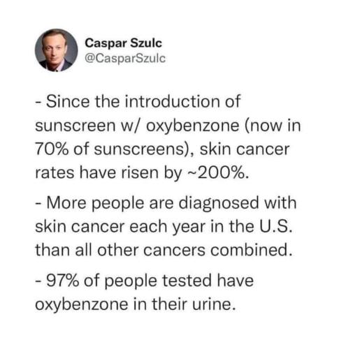 FB_IMG_1655923501403