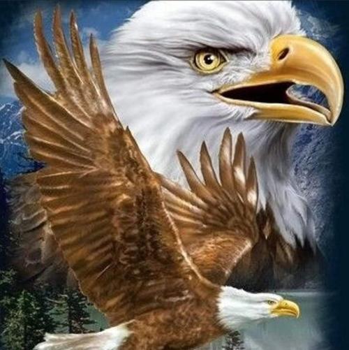 FB_IMG_1655808343322