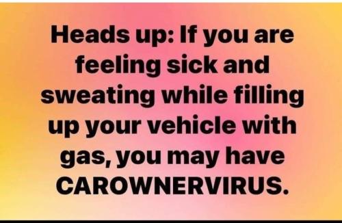 277168291_4985366348213195_5289949668336088105_n