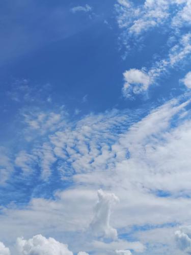 received_1195664594540105