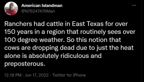 Cattle 2