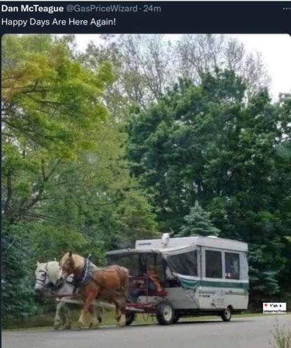 286371484_5311292658931367_3080513638988829457_n