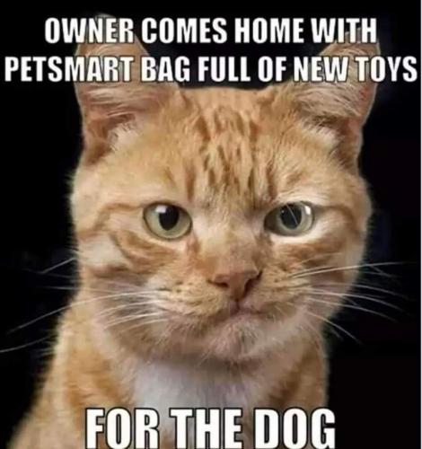 FB_IMG_1655188927039