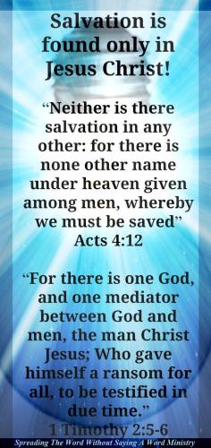 12525567_1006335516115246_9089862794208817403_o