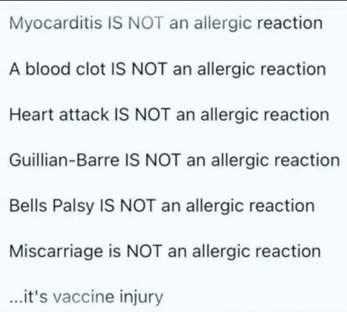 c319a4c45369014c0a7d7011f53aa4d4_1024