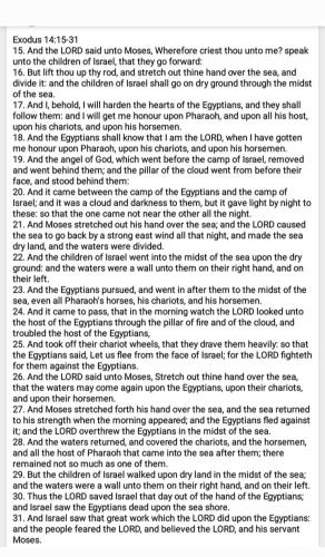 Screenshot_20220611-141532_Gallery