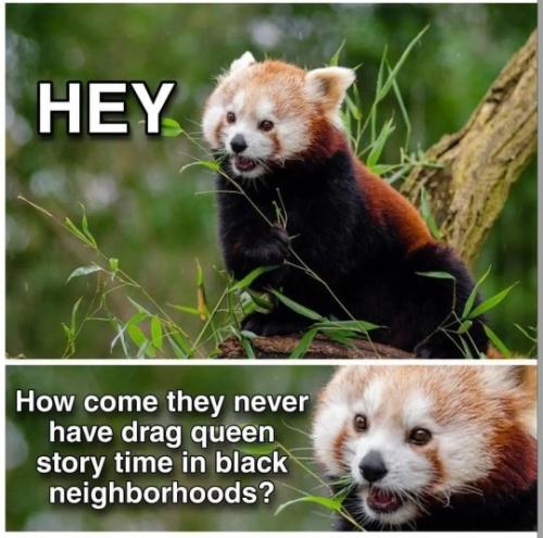 tumblr_317ae3a17f59e9332f8122b711bf8ba5_90a33204_540