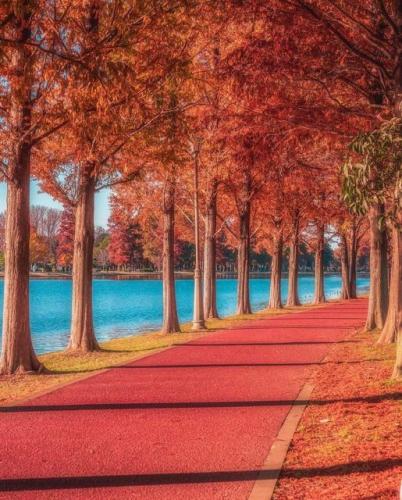 289238570_551880963233046_6712938149800222051_n