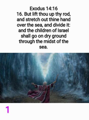 Screenshot_20220611-145300_Gallery~3