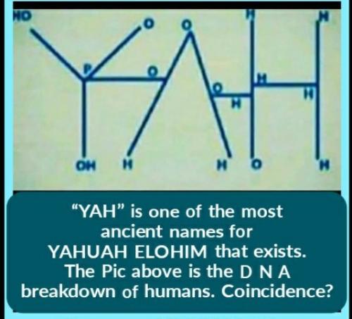 Screenshot_2022-06-02-07-35-30-357_com.adobe.spark.post~3