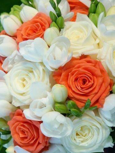 19:50:47 GMT-0500 (CDT)