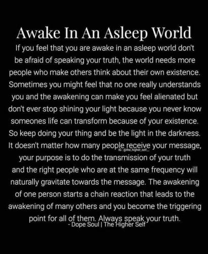 FB_IMG_1656253261140