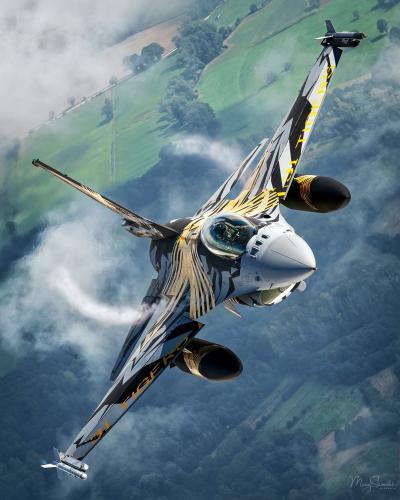 287555847_113815771354064_7116120756182173126_n