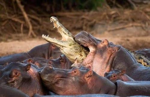 FB_IMG_1655409494525