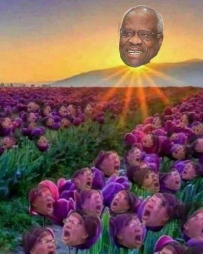 tumblr_a55b7185b83c987f255fa07ba1042352_5f5e29bf_640